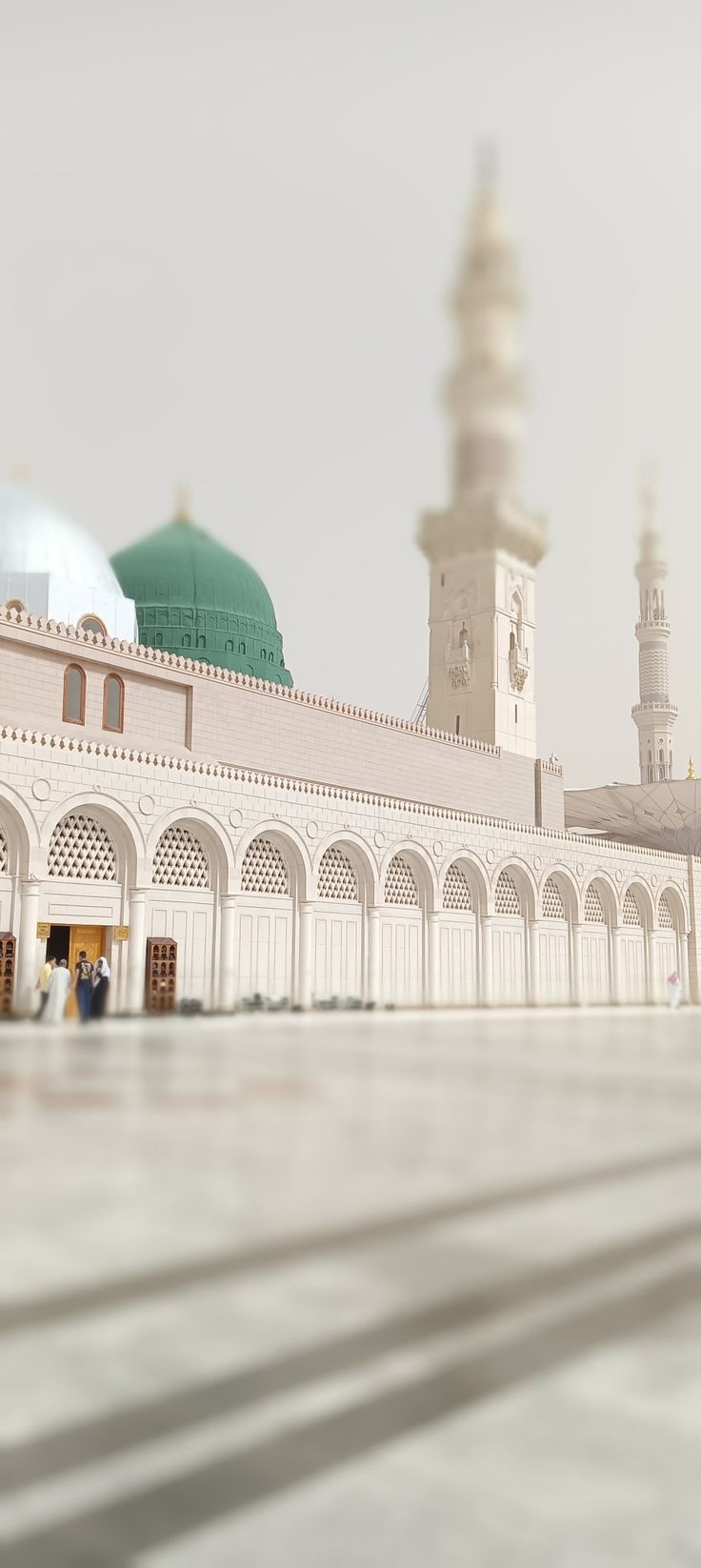 خيل النبي صلى الله عليه وسلم