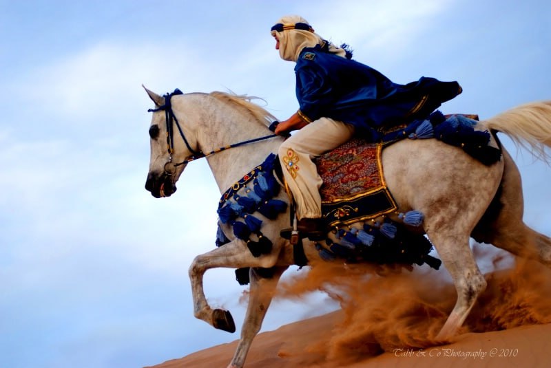 تحريك الخيل في عصر الجاهلية وأنواعه